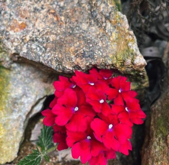 膳宿费 Cabanas Pousada Esmeraldas