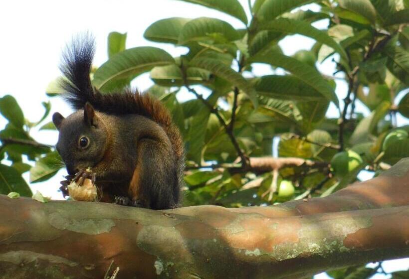 פנסיון Casa Campo Alojamiento Campestre Para Descanso En Calarcá Quindío