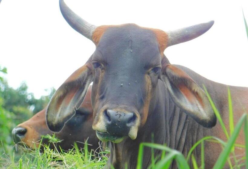 פנסיון Casa Campo Alojamiento Campestre Para Descanso En Calarcá Quindío