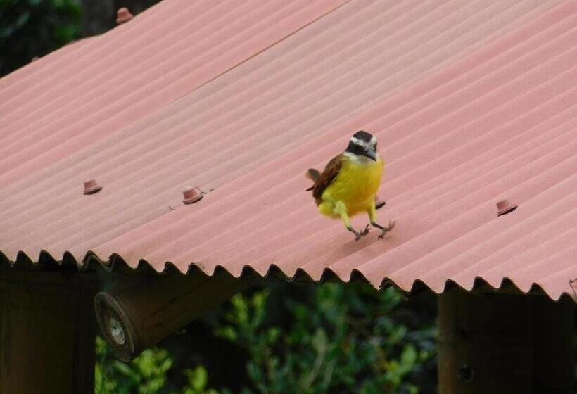 פנסיון Casa Campo Alojamiento Campestre Para Descanso En Calarcá Quindío