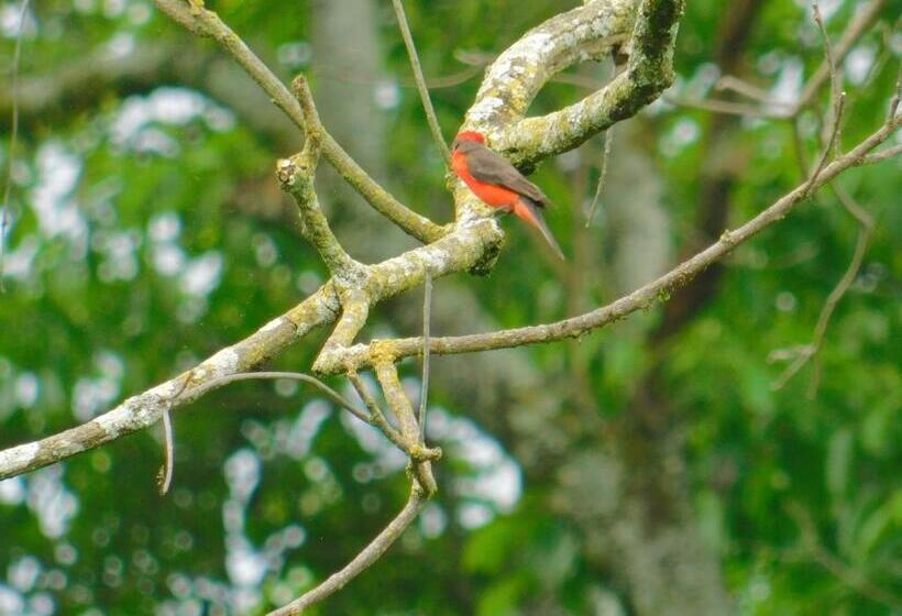 ペンション Casa Campo Alojamiento Campestre Para Descanso En Calarcá Quindío