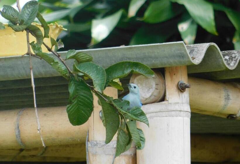 פנסיון Casa Campo Alojamiento Campestre Para Descanso En Calarcá Quindío