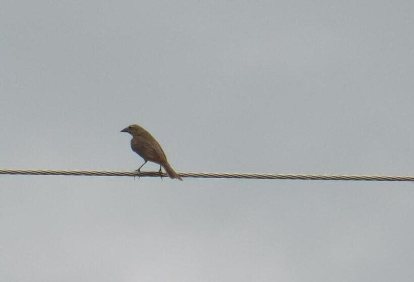פנסיון Casa Campo Alojamiento Campestre Para Descanso En Calarcá Quindío