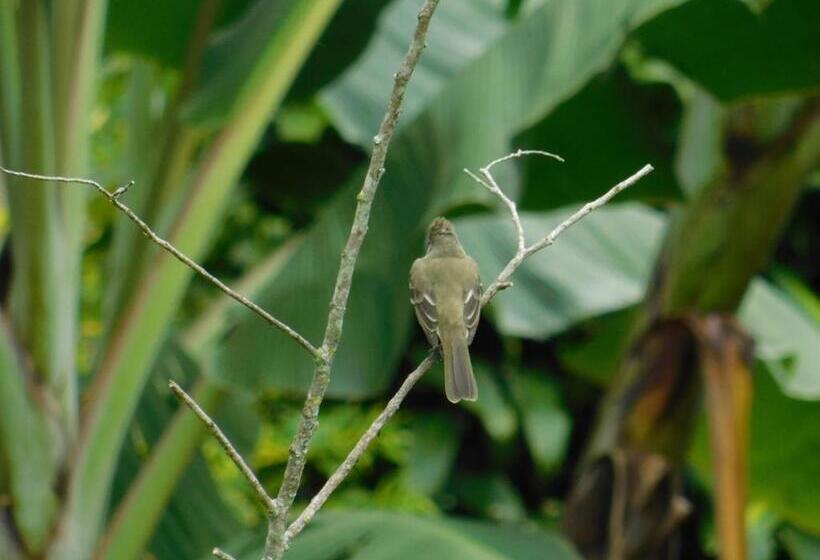 פנסיון Casa Campo Alojamiento Campestre Para Descanso En Calarcá Quindío