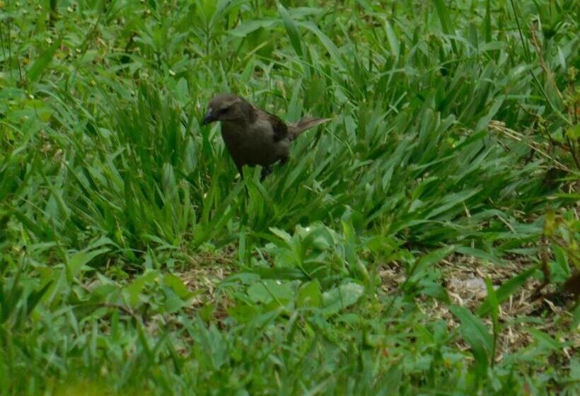 פנסיון Casa Campo Alojamiento Campestre Para Descanso En Calarcá Quindío