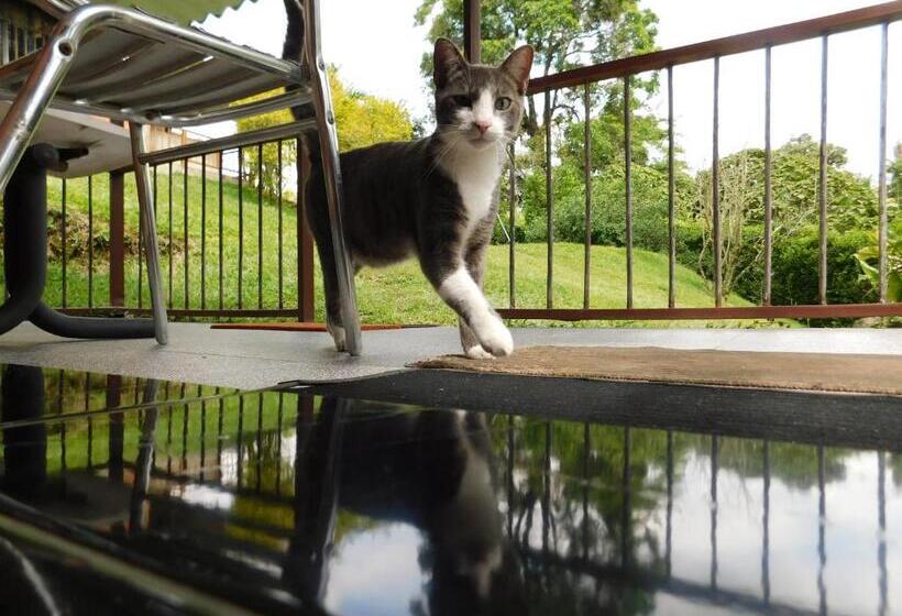 פנסיון Casa Campo Alojamiento Campestre Para Descanso En Calarcá Quindío