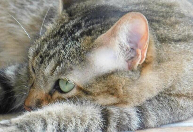 פנסיון Casa Campo Alojamiento Campestre Para Descanso En Calarcá Quindío