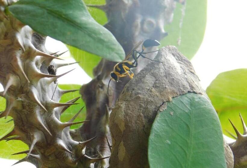 פנסיון Casa Campo Alojamiento Campestre Para Descanso En Calarcá Quindío