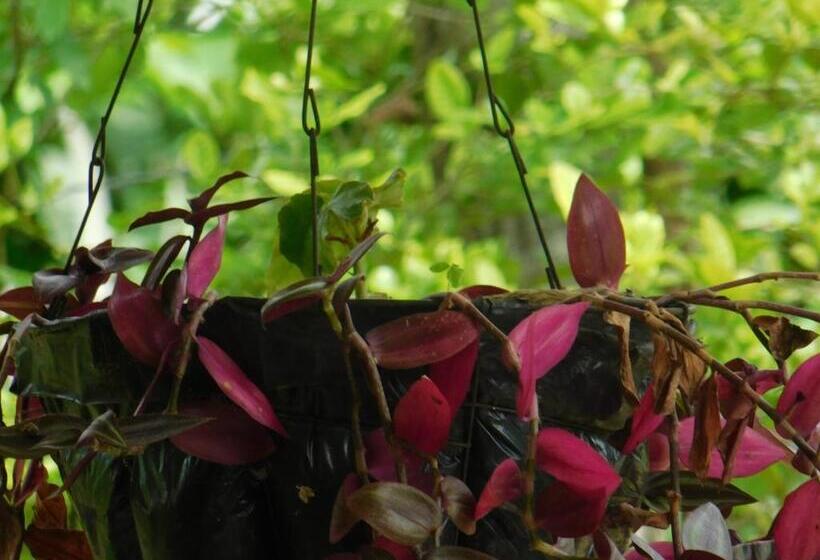 פנסיון Casa Campo Alojamiento Campestre Para Descanso En Calarcá Quindío