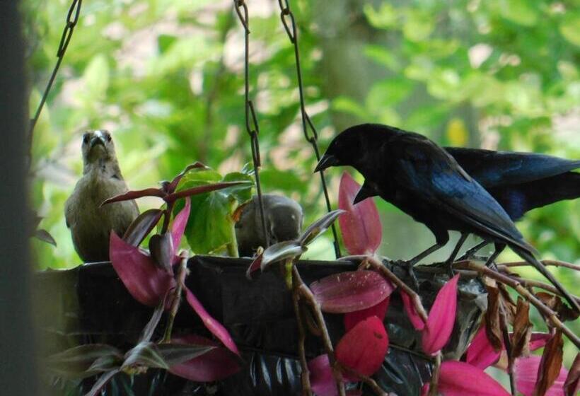ペンション Casa Campo Alojamiento Campestre Para Descanso En Calarcá Quindío