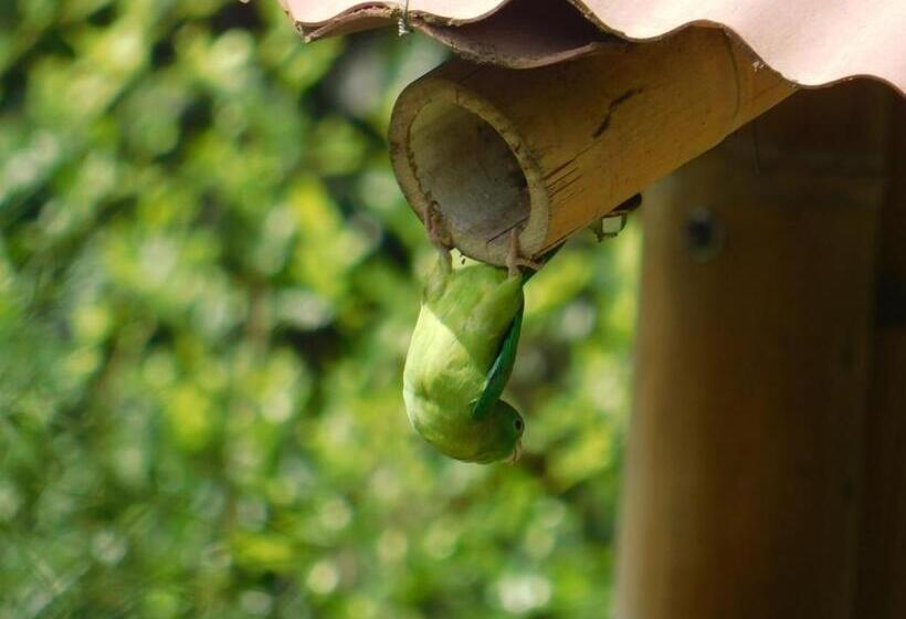 פנסיון Casa Campo Alojamiento Campestre Para Descanso En Calarcá Quindío