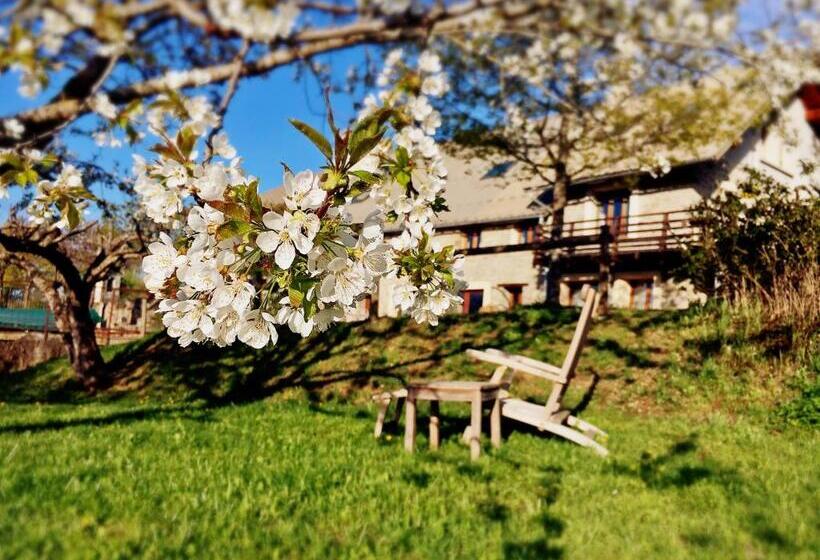 פנסיון Chambre D'hôtes La Grange Des Ecrins