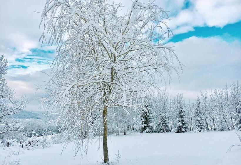 פנסיון Chambre D'hôtes La Grange Des Ecrins