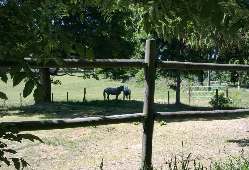 פנסיון Domaine D Angel Berg