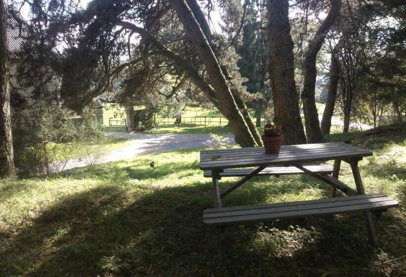 פנסיון Domaine D Angel Berg