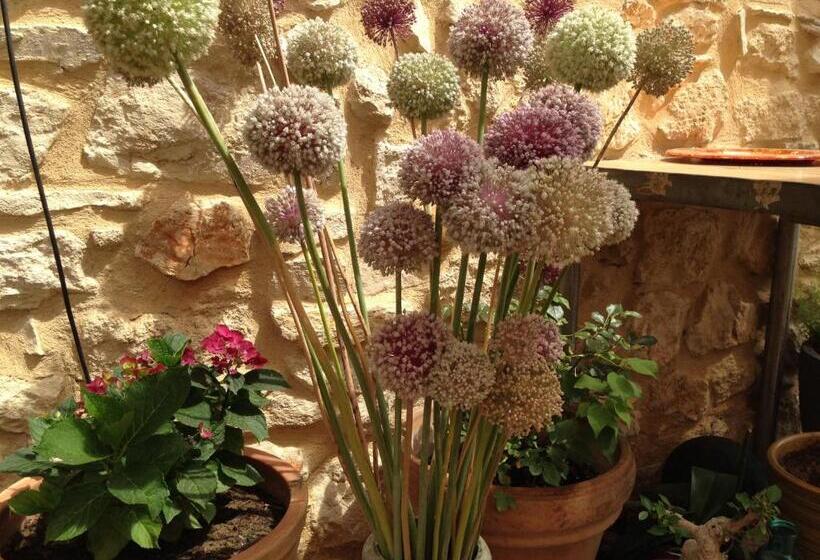 بنسيون Domaine Saint Martin