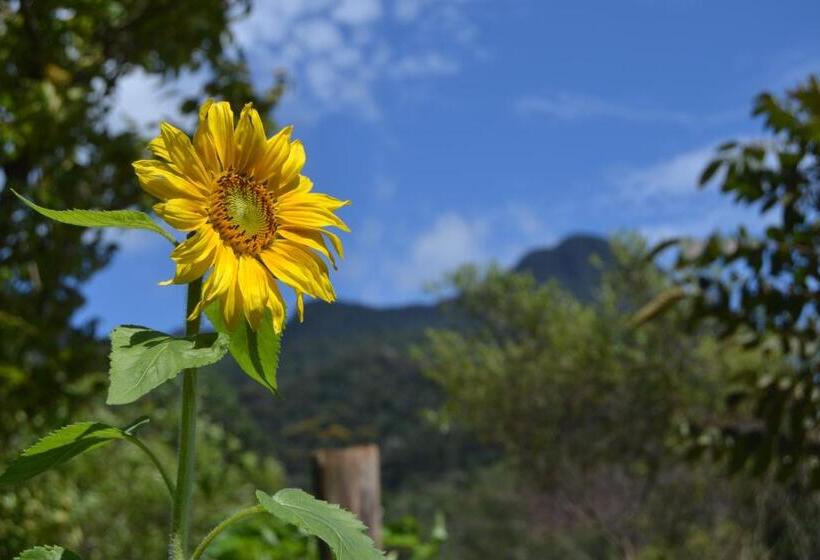 Пансион Espaço Puri
