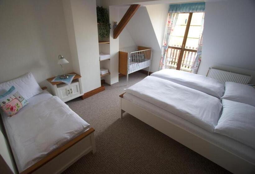 ペンション Farma Basarovi