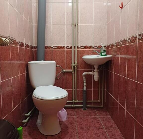 פנסיון Green House Panorama Karpat