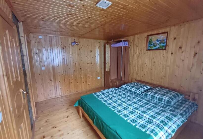 פנסיון Green House Panorama Karpat