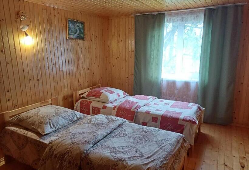 פנסיון Green House Panorama Karpat