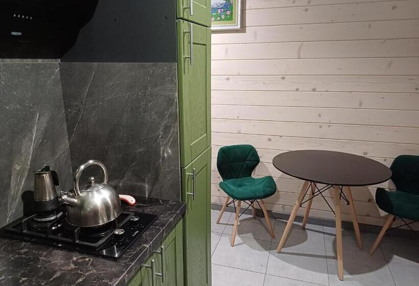 פנסיון Green House Panorama Karpat