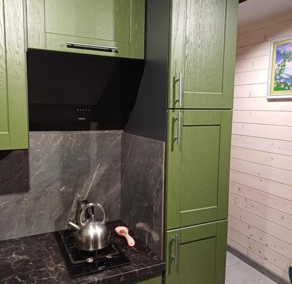 פנסיון Green House Panorama Karpat