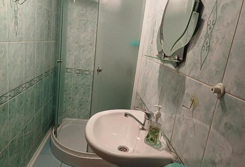 פנסיון Green House Panorama Karpat