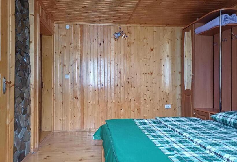 פנסיון Green House Panorama Karpat