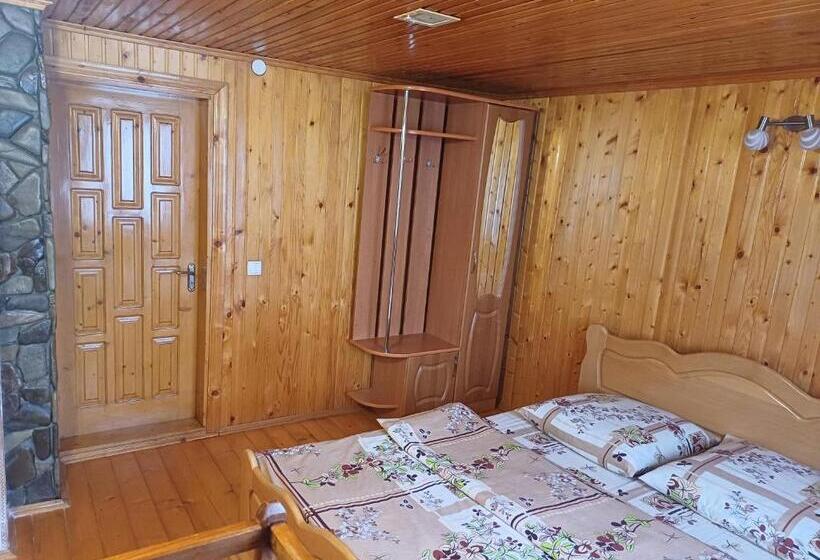 פנסיון Green House Panorama Karpat