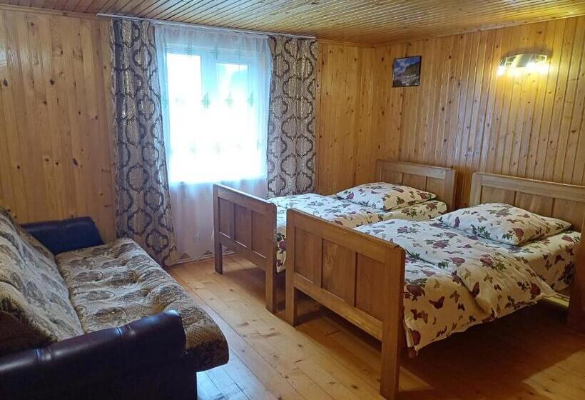 פנסיון Green House Panorama Karpat