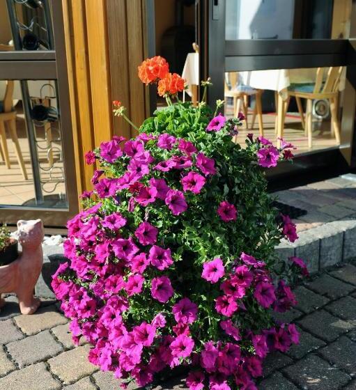 ペンション Gästehaus Petra