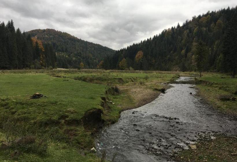 پانسیون Guest House Pid Dubom карпати під дубом