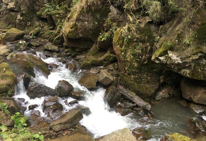 پانسیون Guest House Pid Dubom карпати під дубом