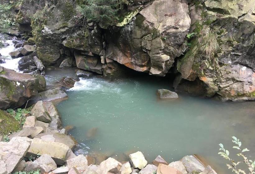 پانسیون Guest House Pid Dubom карпати під дубом