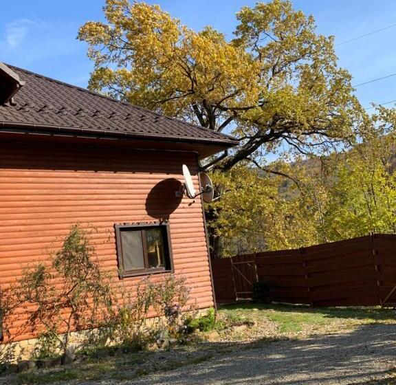 پانسیون Guest House Pid Dubom карпати під дубом