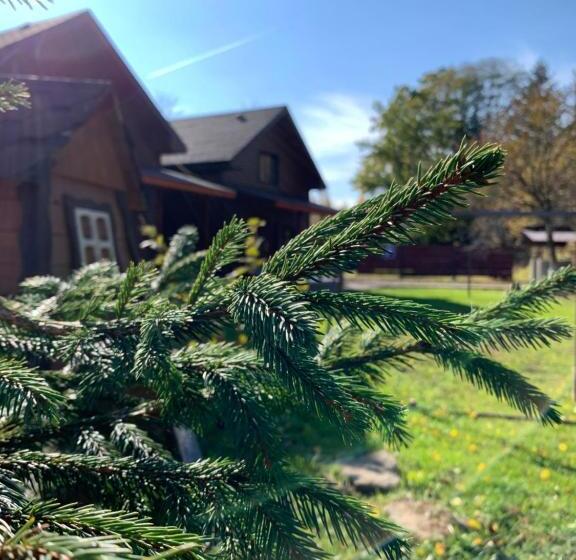 پانسیون Guest House Pid Dubom карпати під дубом