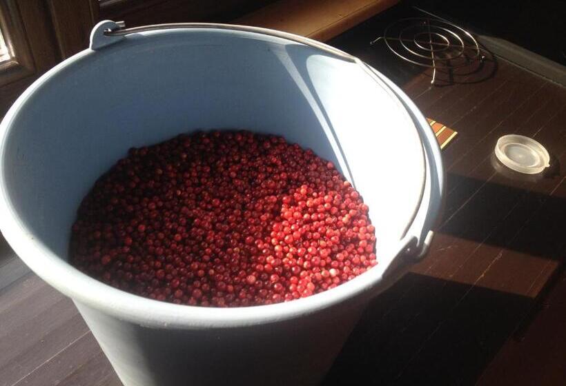 پانسیون Guest House Pid Dubom карпати під дубом