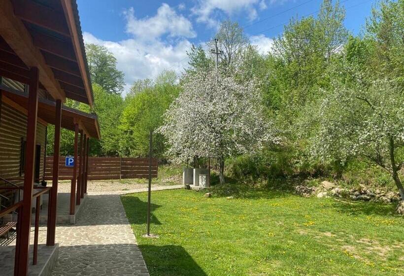 پانسیون Guest House Pid Dubom карпати під дубом