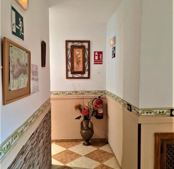 بنسيون Hostal Moraima