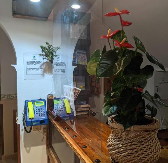 بنسيون Hostal Moraima