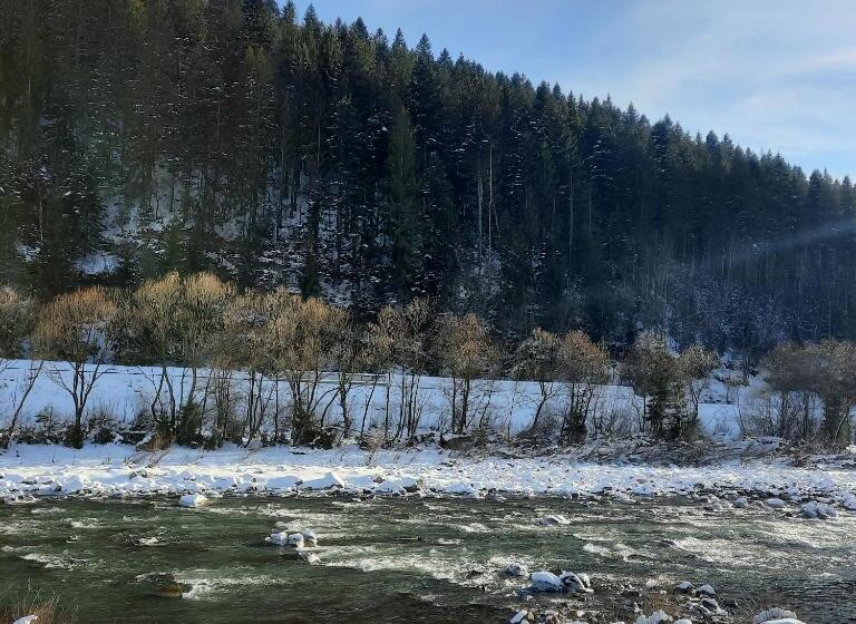 پانسیون Ilkova Sadyba