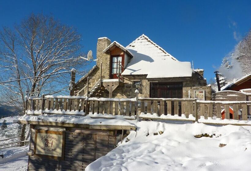 بنسيون La Bergerie Du Plateau