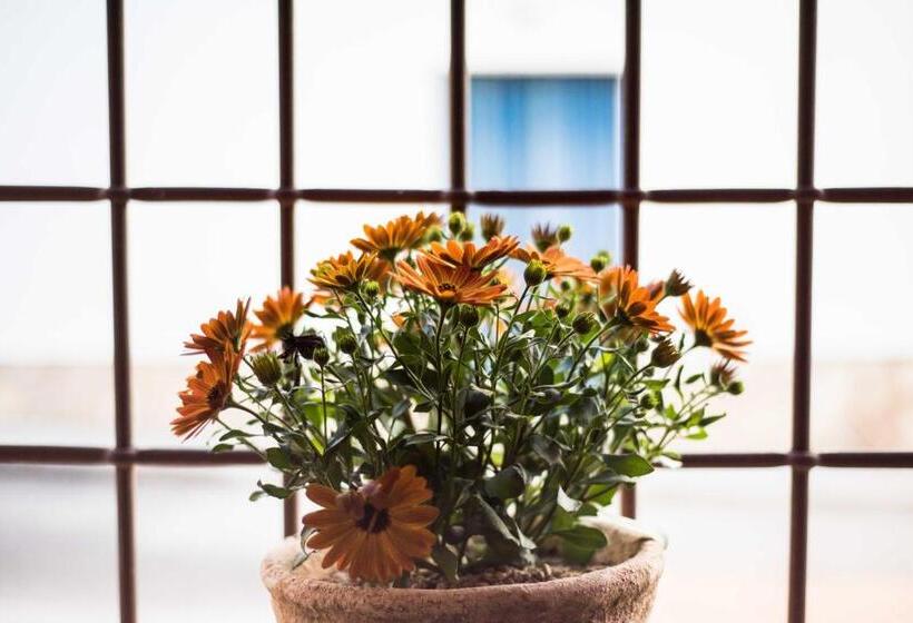 بنسيون La Casa De La Vieja   Alojamiento Rural 3 Y 4 Estrellas