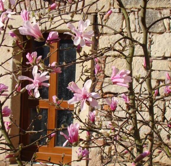 بنسيون Martinkovice 201 Broumov