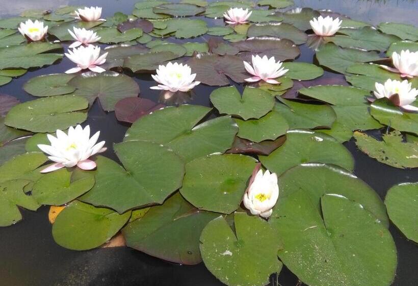 بنسيون Naturpark Vendégház