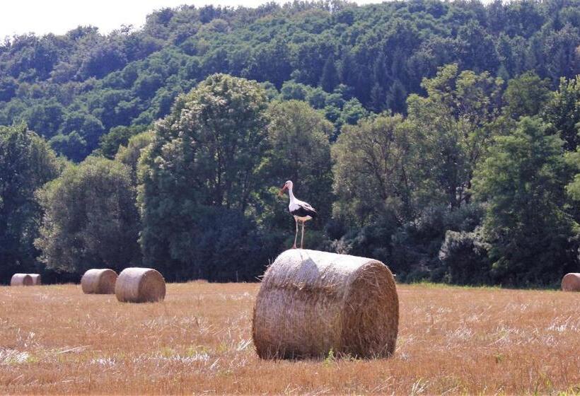 بنسيون Naturpark Vendégház
