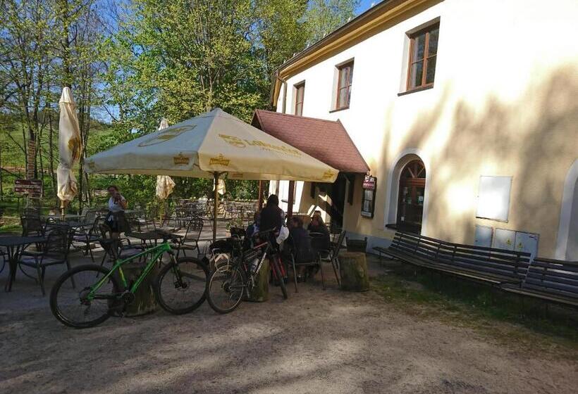 بنسيون Penzion Bejčkův Mlýn