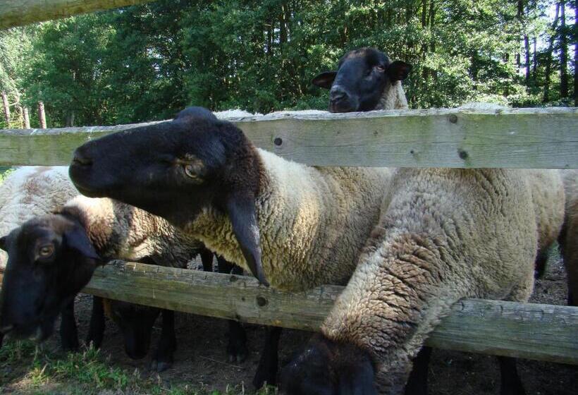 بنسيون Penzion Bejčkův Mlýn