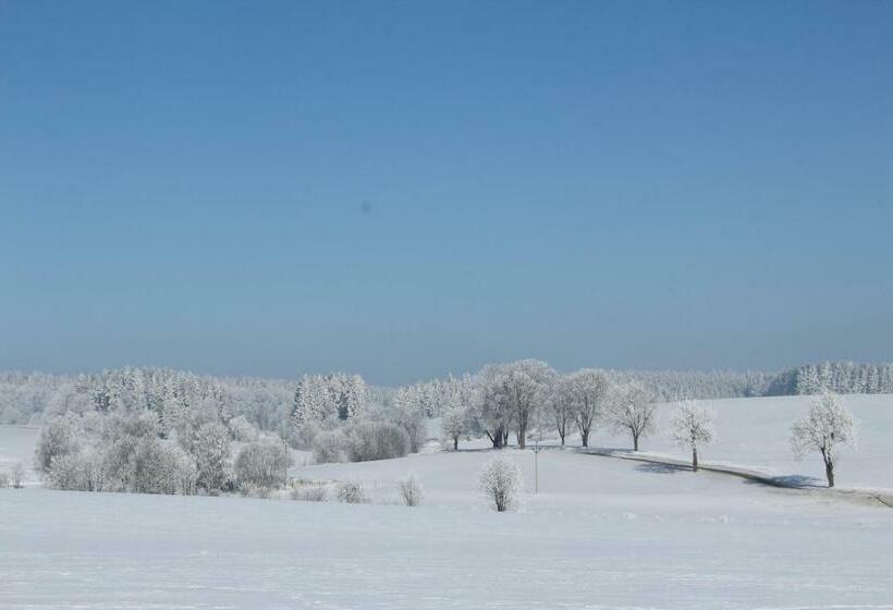 פנסיון Penzion Fořtovna